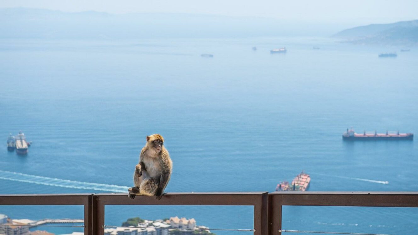 Gibraltar ja helteiset apinat