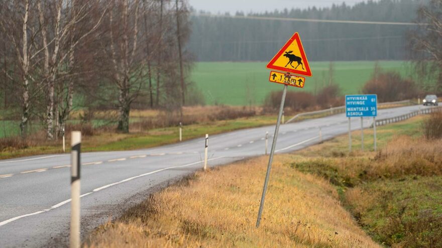 hirvivaroitusliikennemerkki
