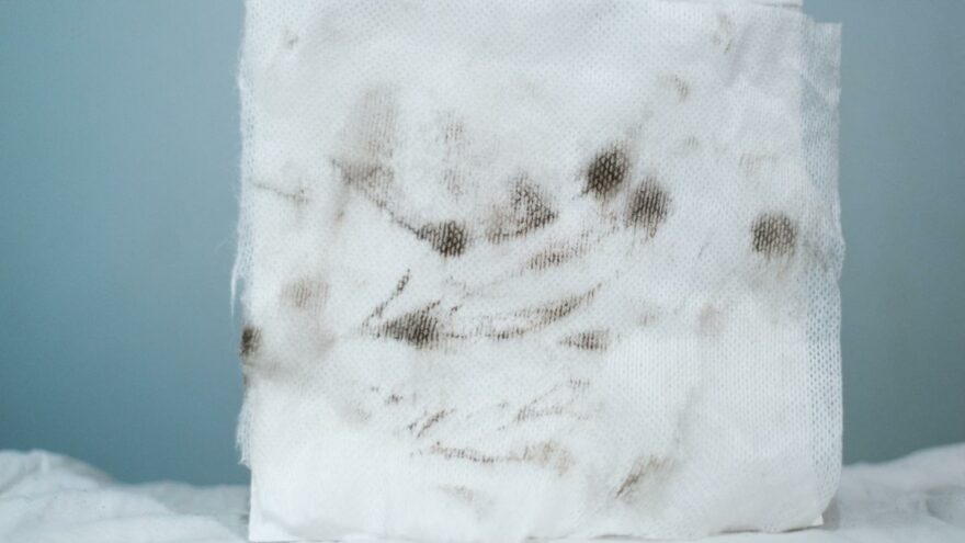 Pesuteho - Obsession Wax Blizzard snow foam
