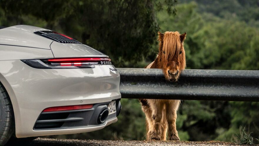 Porsche ja poni