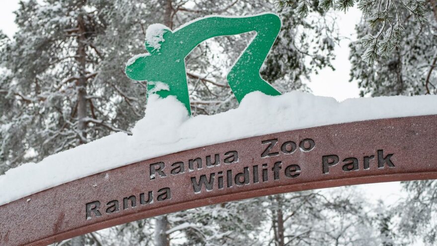 Ranuan eläinpuisto Ranua Zoo kotimaan helmi