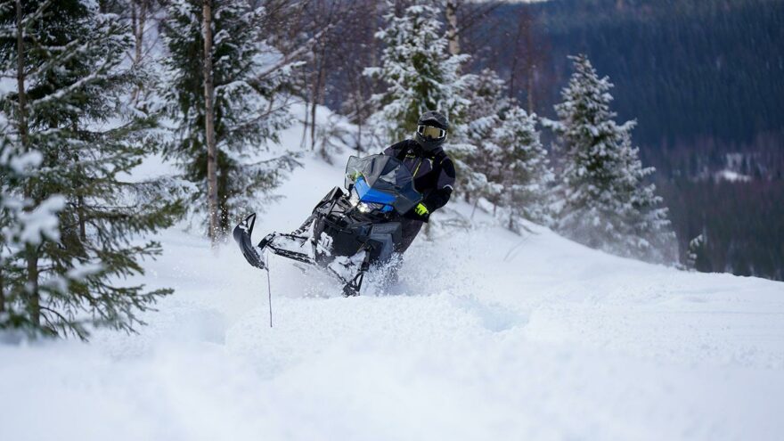 Polaris Nordic Pro