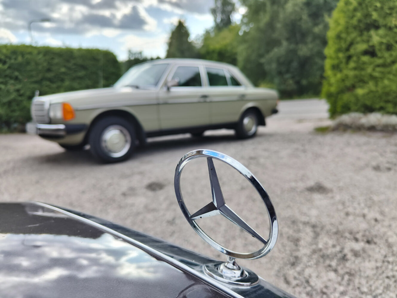 Mercedes-Benz W123