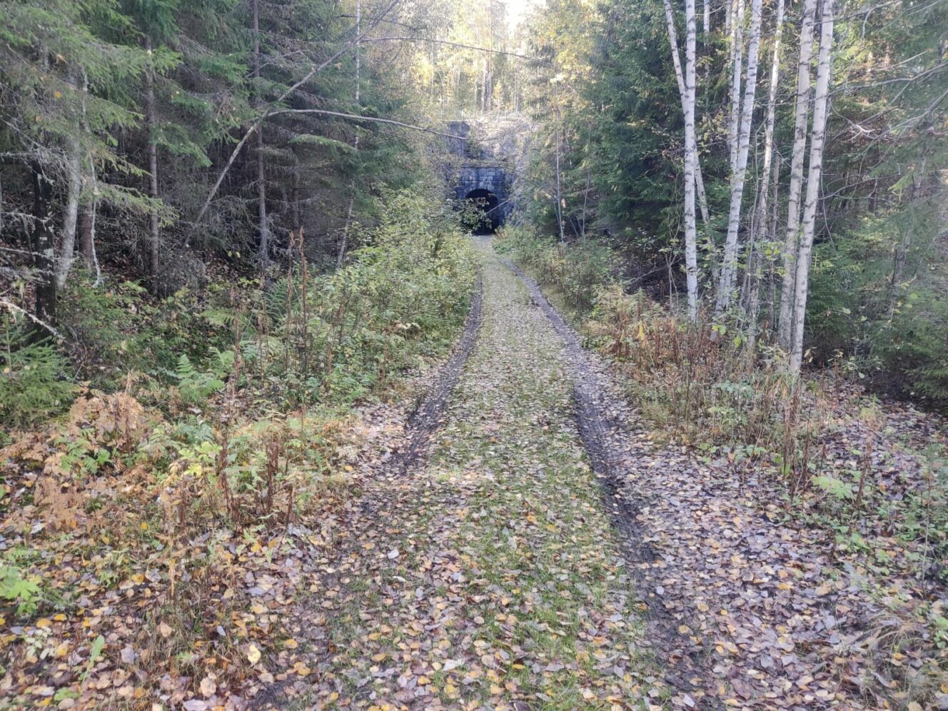 Pönttövuoren vanha rautatietunneli