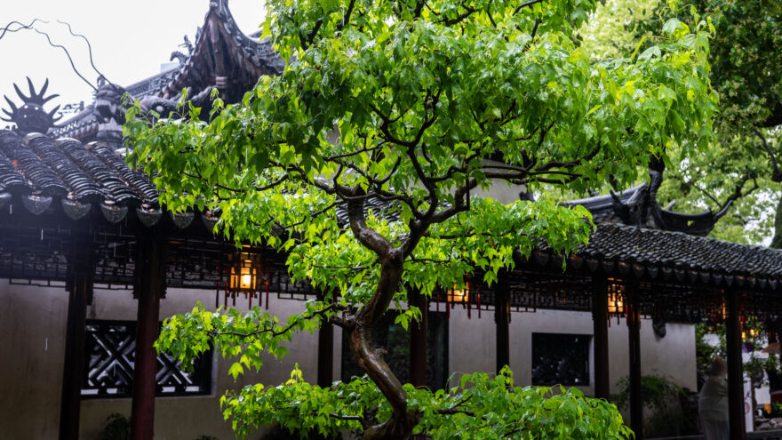 Shanghai Yu Garden Yuyuan Garden puutarha